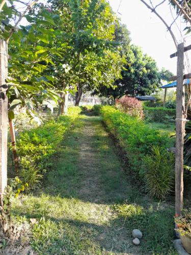 a path through a garden with trees and grass at Good Karma Homestay in Bhurkīā