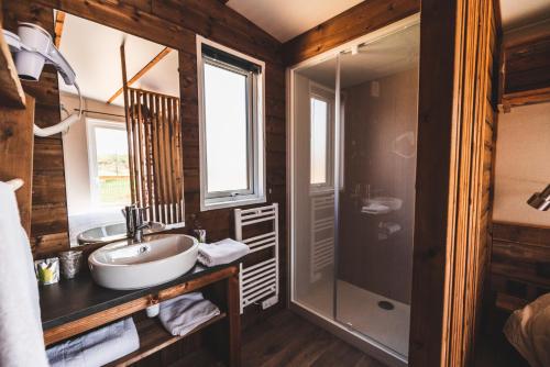 La salle de bains est pourvue d'un lavabo et d'une douche. dans l'établissement Le Village de Cottages - Le Pôle du Cheval et de l'Âne, à Lignières