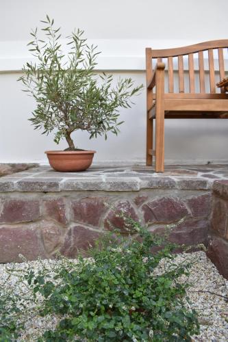 a potted plant sitting on a stone wall next to a bench at Villa Chez les Amis - Adults only in Balatonszepezd