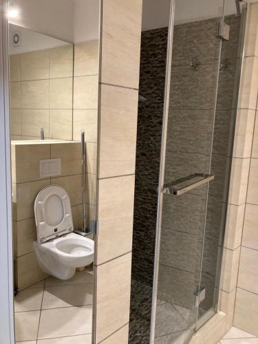 a bathroom with a toilet and a glass shower at Apartament Patio 50 m od plaży in Władysławowo