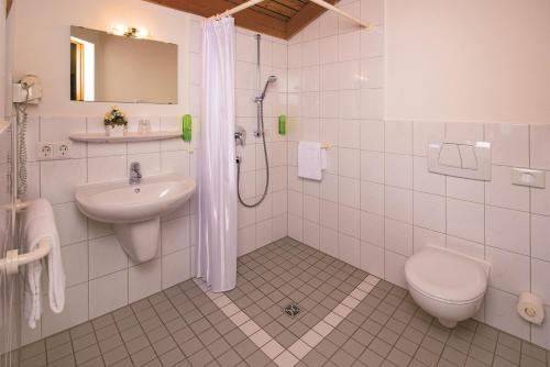 a bathroom with a sink and a toilet and a shower at Hohenwart Forum in Pforzheim