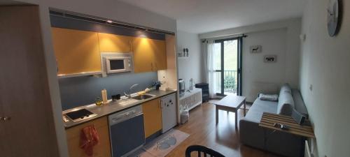 a kitchen with a sink and a couch in a room at Apartamento Riglos Candanchu in Candanchú