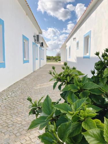 una pasarela de ladrillo entre edificios blancos con plantas verdes en Summer Reference, en Tavira