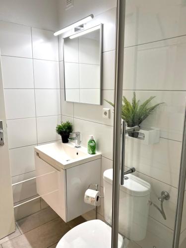 a bathroom with a toilet and a sink and a mirror at Jutta Deluxe Apartment #325 in Bad Reichenhall