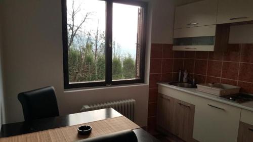 kuchnia ze stołem, umywalką i oknem w obiekcie Guest house Una w mieście Bihać