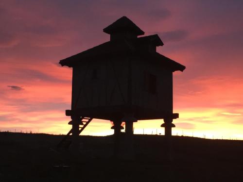 Billede fra billedgalleriet på Le pigeonnier d'Olivier i Revel