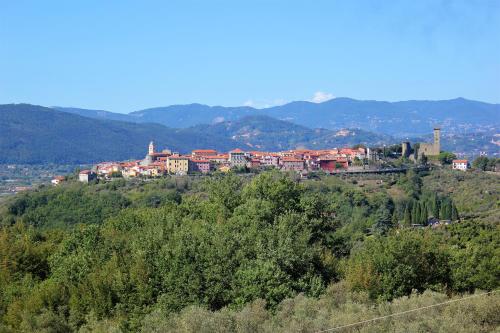a town on top of a hill with trees at Fattoria Cristina - Bilo Verde in Castelnuovo Magra