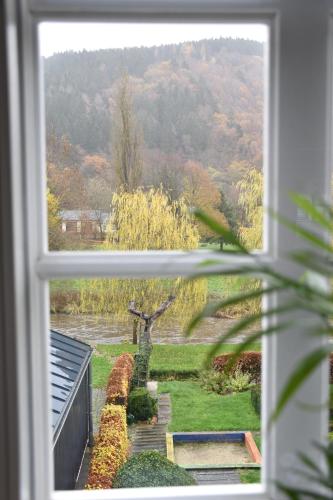 a window with a view of a garden through it at Ferienwohnung Happynest in Birresborn