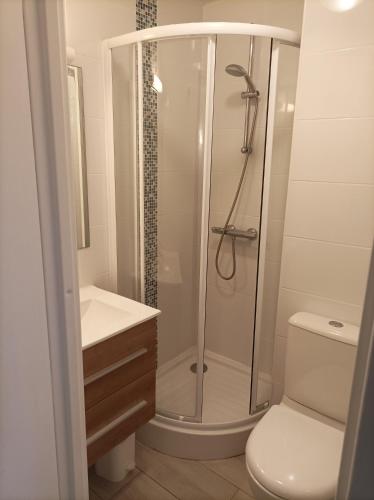une salle de bain avec une douche avec des toilettes et un lavabo dans l'établissement Beija Flor, au Cap d'Agde