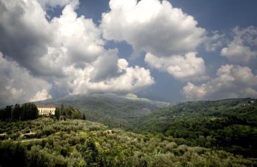 a house on the side of a hill with trees at Villa Pitiana in Donnini