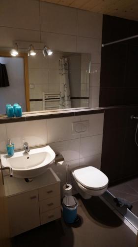 a bathroom with a sink and a toilet and a mirror at Ufem Egg Ferienwohnungen in Innertkirchen