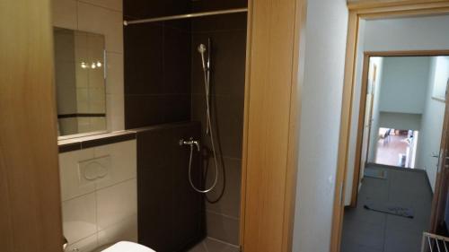 a bathroom with a shower and a toilet at Ufem Egg Ferienwohnungen in Innertkirchen