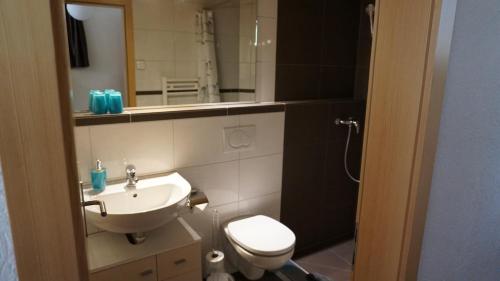 a bathroom with a sink and a toilet and a mirror at Ufem Egg Ferienwohnungen in Innertkirchen