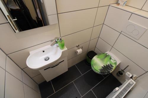 a small bathroom with a sink and a mirror at Gipfelstürmer in Hahnenklee-Bockswiese