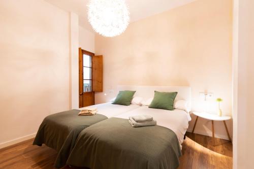 タラゴナにあるApartamento en Plaza SEDASSOS Centro Historicoのベッドルーム1室(大型ベッド1台、緑の枕付)