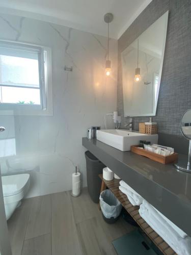 een badkamer met een wastafel, een toilet en een spiegel bij Apartamento Oasis Palmeras 4 in San Bartolomé