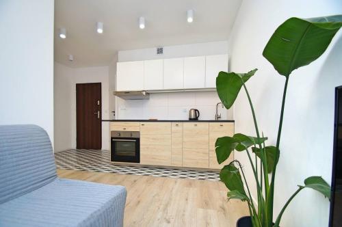 una cocina con armarios blancos y una planta en una habitación en Apartament Bytkowska en Katowice
