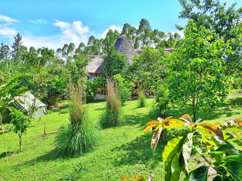 Сад в Chimpanzee Capital Safari Lodge