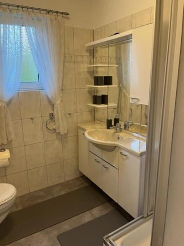 a bathroom with a sink and a toilet and a shower at Bauernhaus nähe Lamspringe in Winzenburg