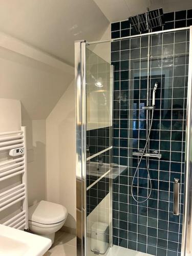 une salle de bain avec toilettes et douche en verre dans l'établissement Duplex 50m2 rénové, hyper-centre, St sauveur, à Caen