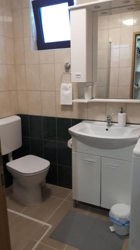 ein Badezimmer mit Toilette, Waschbecken und Spiegel in der Unterkunft Kuća za odmor-Val in Vir