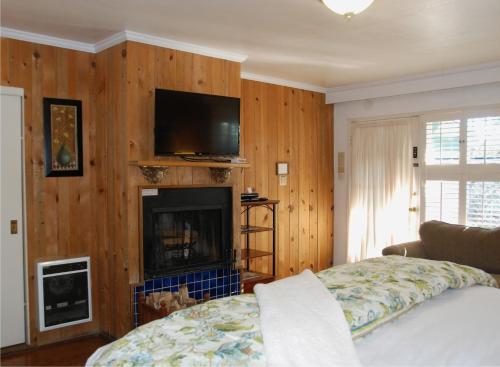 a bedroom with a bed and a fireplace and a television at Carmel Garden Inn in Carmel
