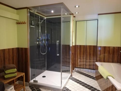 a glass shower in a bathroom with a tub at Alp Appartments in Tösens