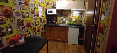małą kuchnię z lodówką i kuchenką mikrofalową w obiekcie Apartamenty z ogrodem 2 typu studio w mieście Mrągowo