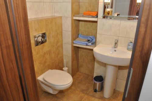 a small bathroom with a toilet and a sink at Apartament Bażantowo z parkingiem in Katowice
