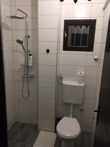 a bathroom with a toilet and a shower with a mirror at Hostel Lega House in Osijek