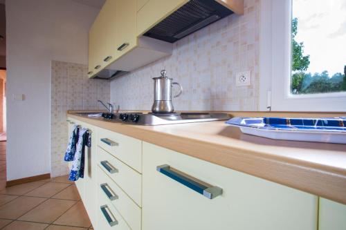 une cuisine avec un évier et un plan de travail dans l'établissement Residence de Tourisme Marina Corsa, à Ghisonaccia