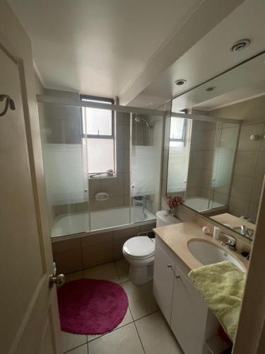 a bathroom with a toilet and a sink and a mirror at Departamento en Condominio Cerrado La Florida in Santiago