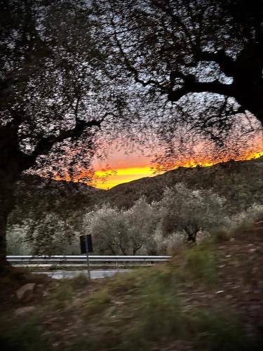 a view of a sunset from a car window at LA TAVERNA tra gli ulivi in Perinaldo