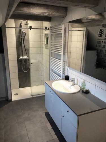 une salle de bain avec un lavabo et une douche dans l'établissement Le Logis du Vignoble, à Kintzheim