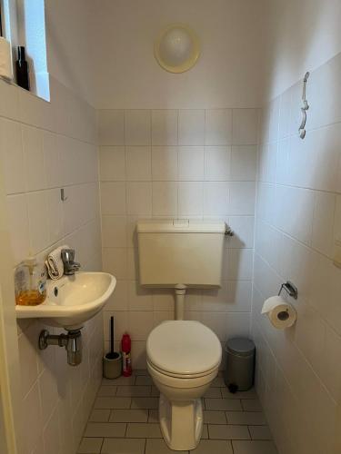 a small bathroom with a toilet and a sink at Vakantiewoning 'Eysinga State' in Sint Nicolaasga