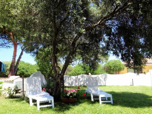 twee witte stoelen zittend onder een boom in een tuin bij Apartment K Plus by Interhome in Valledoria