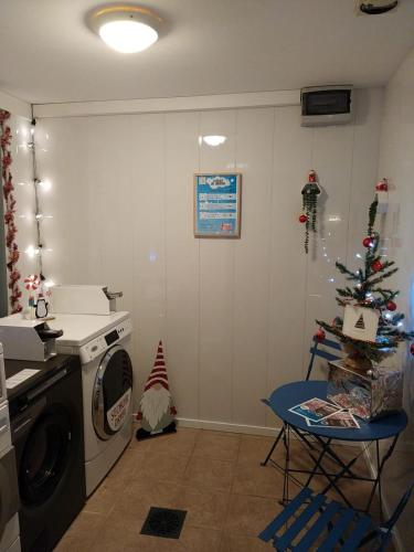 a kitchen with a washing machine and a christmas tree at appartement au calme face au lac in Marciac