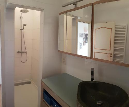 een badkamer met een wastafel, een spiegel en een douche bij Logement dans le cœur historique de Mons in Bergen
