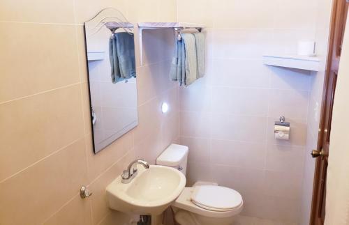 a small bathroom with a toilet and a sink at Pineapple House in Bocas del Toro