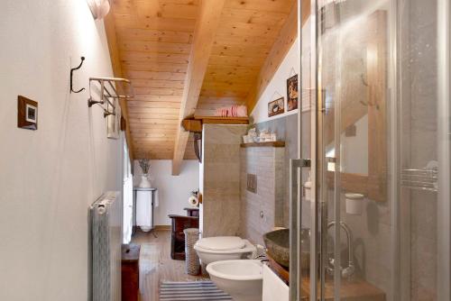 La salle de bains est pourvue de toilettes et d'une douche en verre. dans l'établissement Ca' La Vedescia Mansarda Beli Miri, à Teglio
