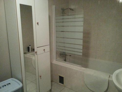 a bathroom with a shower and a sink and a toilet at Gîte Tucolet in Hinx