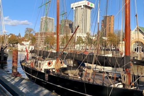 a group of boats docked in a harbor with a city at STUDIO ROTTERDAM Cntr in Rotterdam
