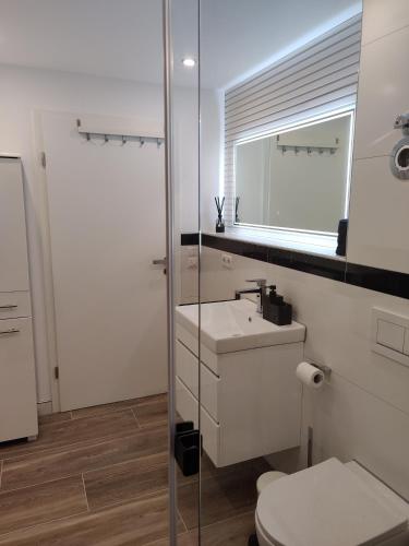 a bathroom with a toilet and a sink and a mirror at Exklusiv, modernes Apartment in Sachsenheim