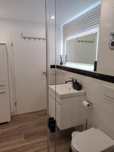 een badkamer met een toilet, een wastafel en een spiegel bij Exklusiv, modernes Apartment in Sachsenheim