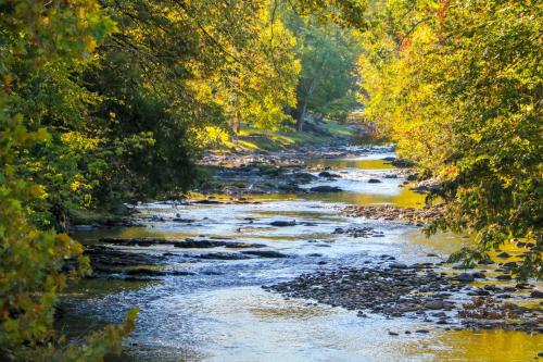 a river in the middle of a forest with trees at RiverStone Condo Resort & Spa in Pigeon Forge