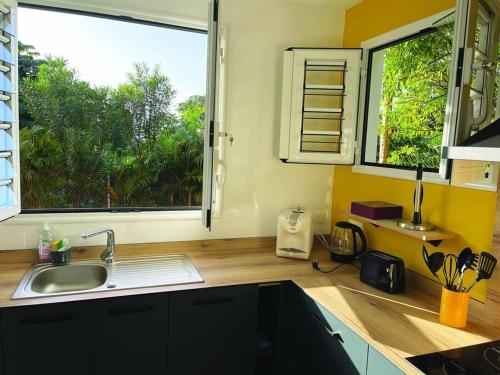 eine Küche mit einem Waschbecken und einem großen Fenster in der Unterkunft Bel appartement dans écrin de verdure in Le Lamentin