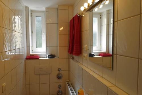 een badkamer met een wastafel en een spiegel bij Campus Apartment Anton in Dresden
