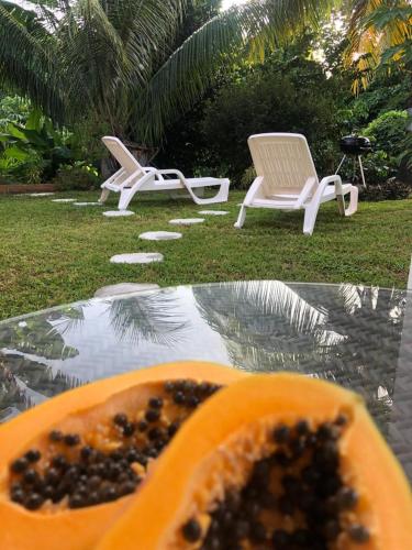 Zahrada ubytování Bel appartement dans écrin de verdure