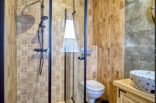 W łazience znajduje się prysznic, toaleta i umywalka. w obiekcie Apartamenty Koniaków Residence w mieście Koniaków