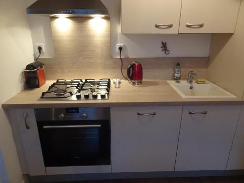 kuchnia z kuchenką górny piekarnik obok zlewu w obiekcie Appartement calme en plein centre ville w mieście Granville
